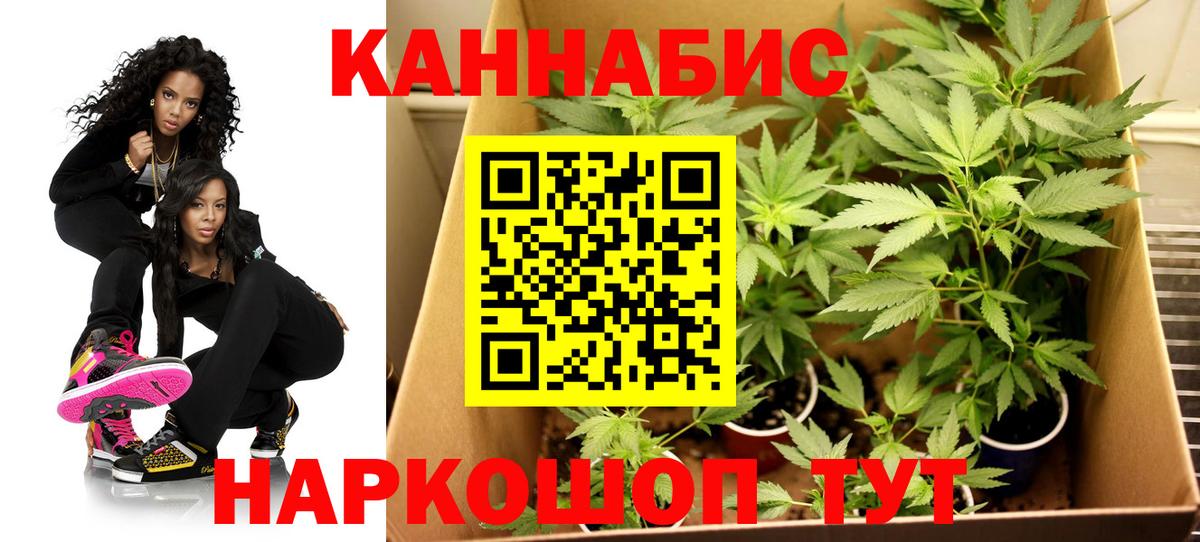 Бошки Шишки планчик  Вход с VPN  Канабис Amnesia  Марихуана Ganja  Когалым 
